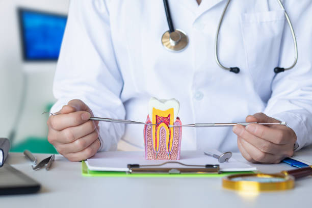 Best Knocked-Out Tooth Emergency  in Grandy, NC